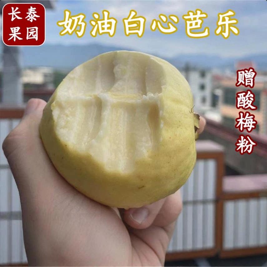 福建漳州奶油软糯白心芭乐番石榴低糖巴乐鸡屎果水果新鲜5斤 包邮