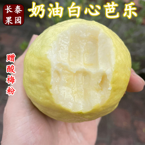 软糯奶油白心芭乐白心番石榴