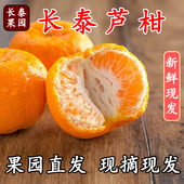 年货礼盒装 正宗福建漳州长泰芦柑新鲜柑橘子桔子水果10斤整箱 包邮