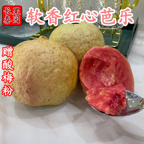 当季福建台湾胭脂红芭乐番石榴