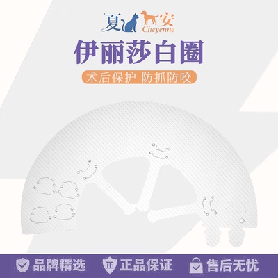伊丽莎白圈 宠物项圈猫咪伊丽莎白项圈狗项圈绝育防舔头套