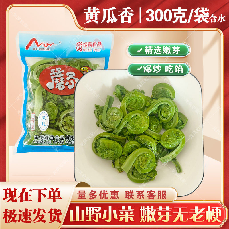 黄瓜香山野菜 野鸡膀子 广东菜 勾勾菜 荚果蕨 凤翅承德东北特产