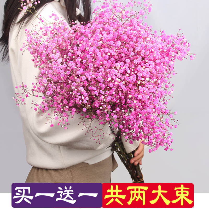 云南满天星干花花束真花粉色蓝色小清新干花装饰摆件