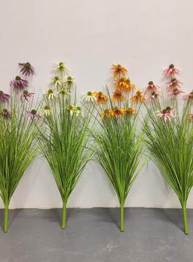 室外客厅造景太阳花松果菊