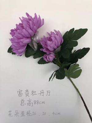 仿真客厅落地舞台摆放龙爪菊假花