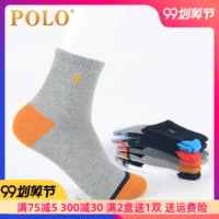 Vớ polo nam vớ cotton dày mùa thu và mùa đông chạy vớ thể thao vớ dài ống vớ nam vớ trong 3299 - Vớ nam tất hàn quốc