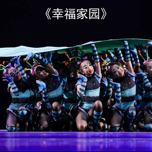 幸福家园蚂蚁演出服装