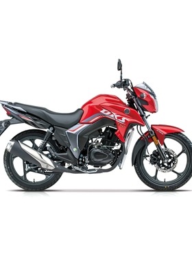 豪爵DKS150-21摩托车25版本大货架刹车联动电喷动力强劲油耗低