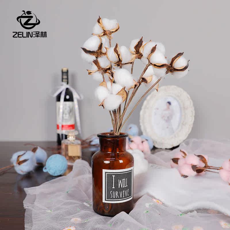 天然真棉花头干花仿真棉花头圣诞节花束DIY材料花艺装饰白色棉花