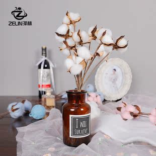 天然真棉花头干花仿真棉花头圣诞节花束DIY材料花艺装 饰白色棉花