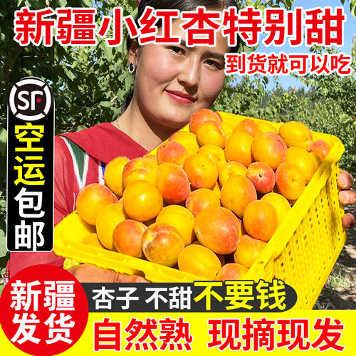 新疆小红杏吊干杏阿克苏新鲜水果杏子甜杏特产当季整箱胜小白杏