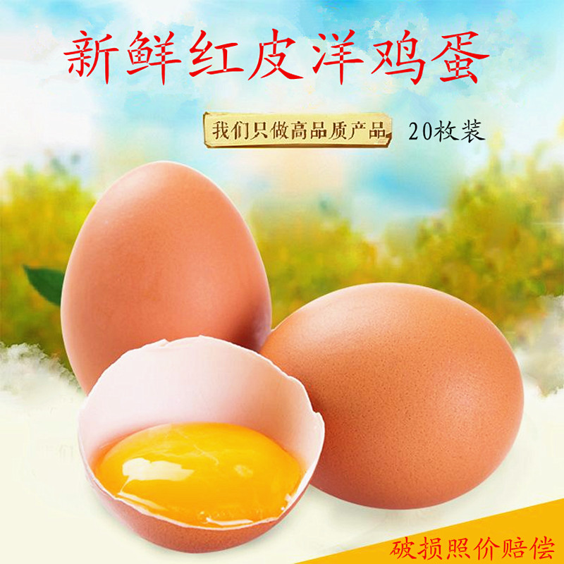 热销农家新鲜红皮洋鸡蛋20个包邮非鸡胚蛋喜蛋旺鸡蛋活珠毛蛋实蛋