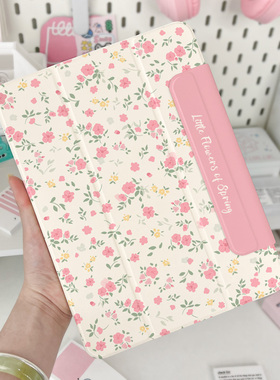 ipadpro保护套磁吸2024新款air6壳5适用苹果pro11寸双面夹mini平板10代13轻薄12.9带笔槽4简约搭扣18支架防摔