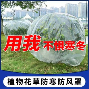 植物保温罩盆栽防寒袋树苗防冻袋绿植过冬塑料膜保暖平口袋Y248
