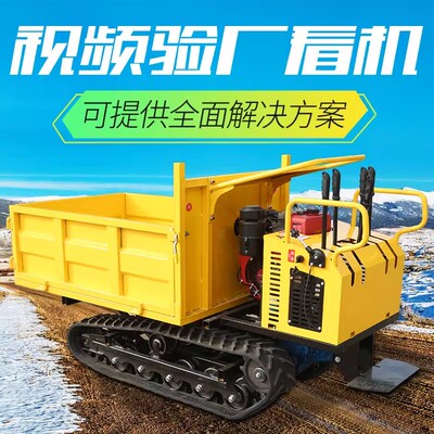 全地形爬山虎履带车防风固沙