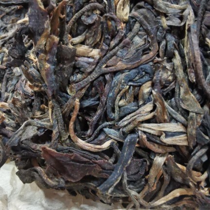 好茶分享纯料老班章8克品尝茶样(从茶饼里开出来的一份)
