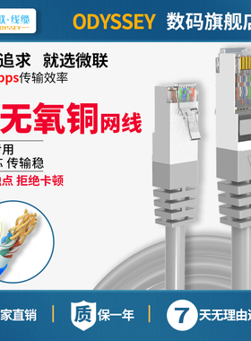 超五类国标网线1m无氧铜2室内5路由器cat5e机房跳线20屏蔽10网线