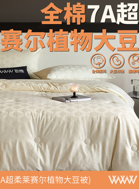 WWW全棉7A抗菌55%植物大豆被芯Pro超柔提花春秋冬被保暖被子B0006