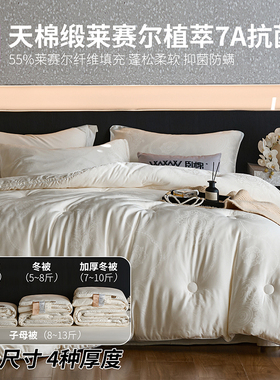 WWW天棉锻7A抗菌55%莱赛尔植萃大豆被超柔提花春秋冬保暖被B0030
