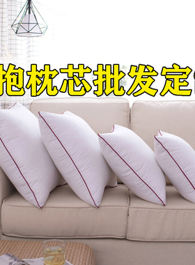 纯棉沙发抱枕芯靠枕芯十字绣靠垫芯子40 45 50 55 60 65 70方枕芯