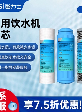 开水机滤芯9.5寸PP棉活性碳非通用智力士饮水机配件RO反渗透