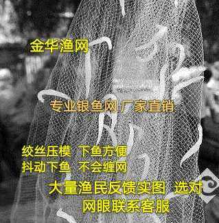 银鱼网渔网面鱼网针鱼网捕鱼网铁坠银鱼网胶丝网专捕易下银鱼网