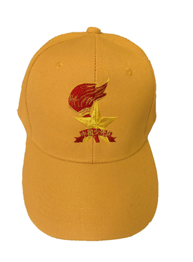 中小学生安全小黄帽校徽校名logo刺绣定制棒球帽鸭舌帽免费绣姓名