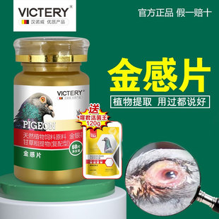 【新品】汉诺威金感片鸽子呼噜上下呼吸道信鸽用品