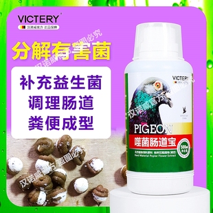 汉诺威噬菌肠道宝沙门菌调理肠道活菌王鸽用