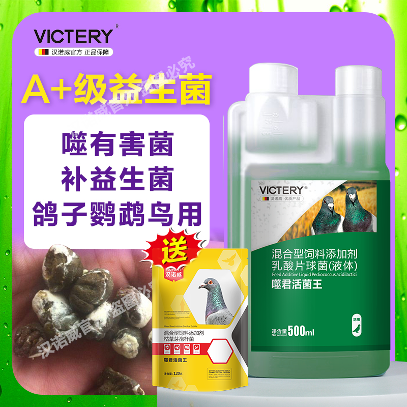 汉诺威噬菌体活菌王鸽子调理肠道活菌鹦鹉益生菌