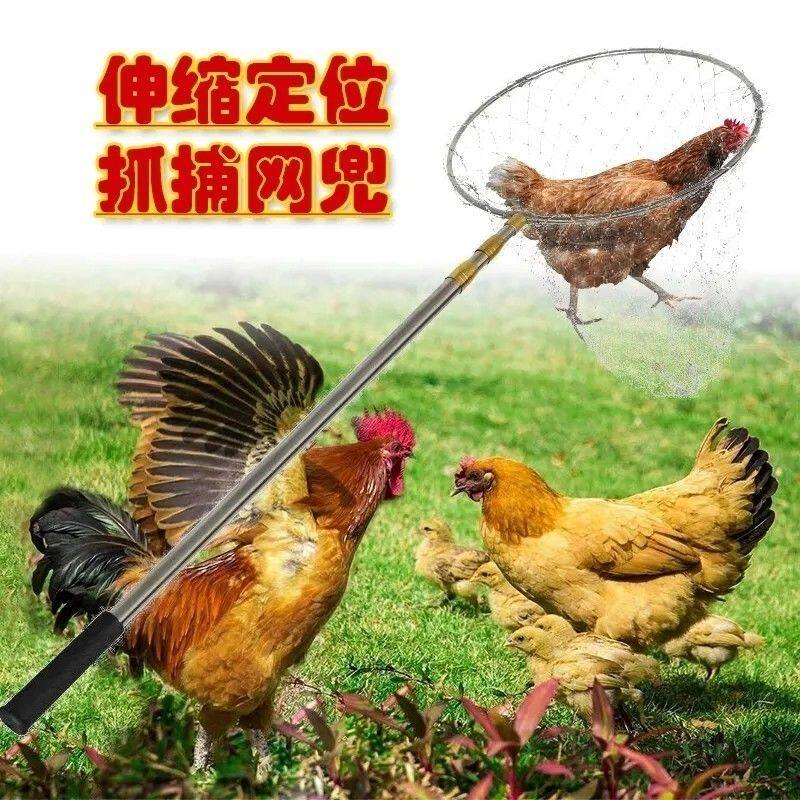 抓鸡神器逮鸡钩子捉鸡工具养殖场捕鸡捕鸡鸭抓鸭器逮鸭子抓鹅神器