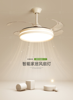 休闲现代主卧室灯风扇灯创意Led吸顶灯客厅灯吊扇灯餐厅灯