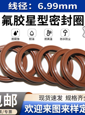 氟胶星型圈X型圈 线径6.99内径34.3/37.5/40.6/43.8-658.88密封圈