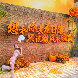 网红打卡形象花拍照区布置造景高级民宿庭小院露营风氛围墙面装饰