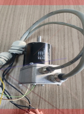 询价!Sunflame burner motor 381741