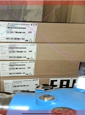 询价!E+H品牌PMP21-65Q5/0Cerabar PTP31