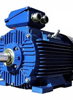 Cantoni Motor IE2电机 2SIE132S2B