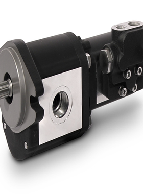 CASAPPA     KP35.80铸铁齿轮泵及齿轮马达