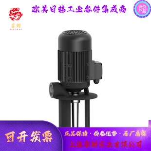 Brinkmann  SLURP 潜水泵 TFL250...SFL1150