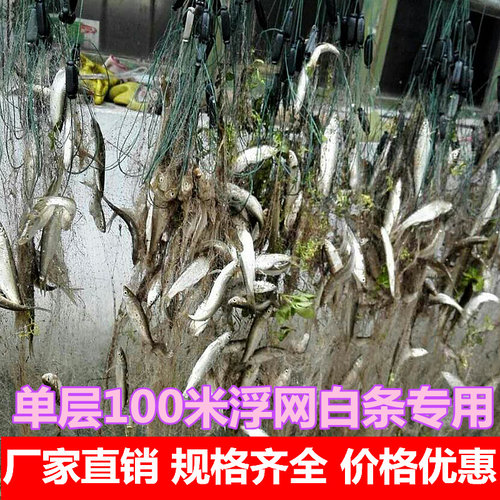 单层鱼网100米指半小眼河里白条
