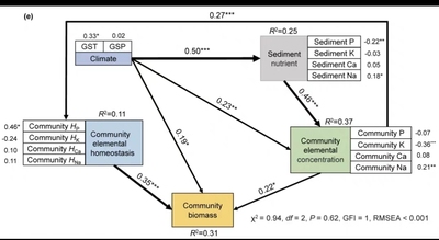 R语言 结构方程模型辅导 PLS-PM实操 偏最小二乘法