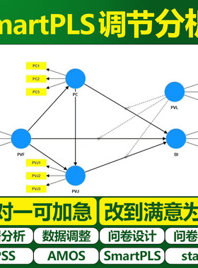 大师姐SmartPLS 结构方程模型  SEM 偏最小二乘法 调节分析 AVE