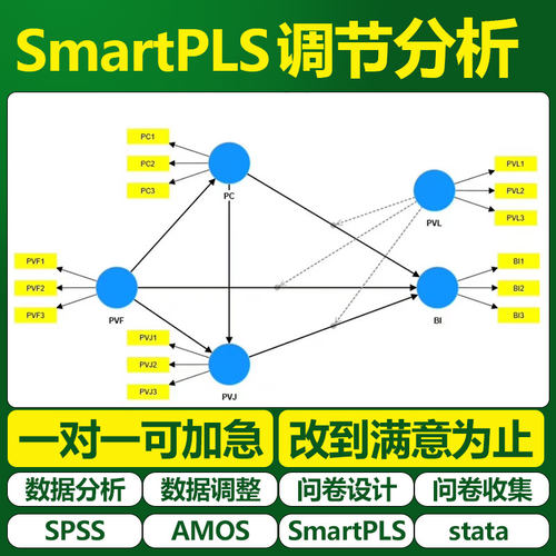 大师姐SmartPLS 结构方程模型  SEM 偏最小二乘法 调节分析 AVE