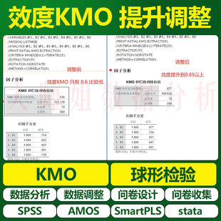 大师姐数据调整 SPSS效度分析KMO 球形检验 李克特量表信度分析
