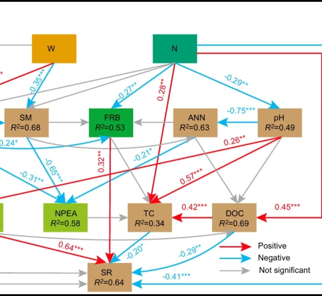 科研级R语言 结构方程模型服务 分段SEM分析 图表美化 满足发表