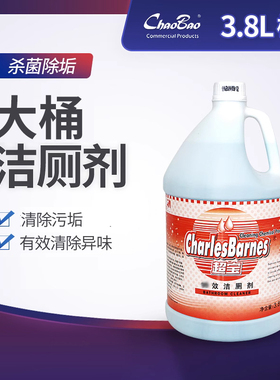 超宝DFF018 洁厕剂 清洁马桶浴盆清洗液桶装洁厕灵厕所清洁剂