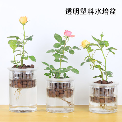 塑料水培器皿带陶粒深定植篮花盆透明瓶子水培月季绿植花卉盆栽