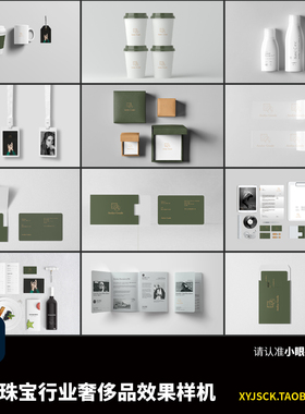 绿色珠宝行业奢侈品行业PSD效果图样机VIS物料提案贴图展示