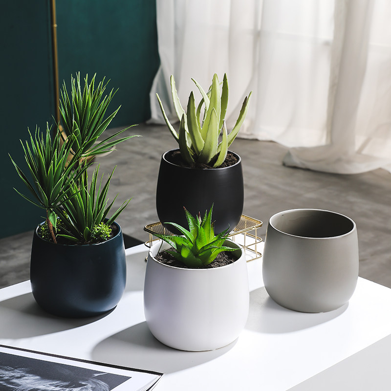 北欧简约ins 蝴蝶兰多肉发财树家用铜钱草绿萝水培陶瓷无孔小花盆,鲜花速递/花卉仿真/绿植园艺,花盆,淘宝优惠券,粉丝福利购,淘宝优惠卷