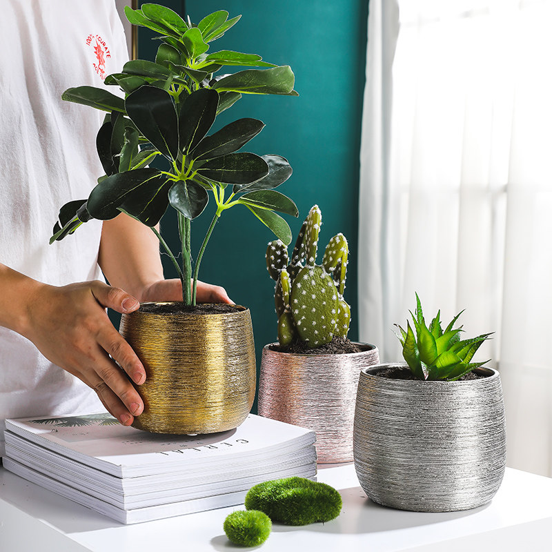 轻奢创意个性拉丝金北欧简约风多肉绿萝水培家用蝴蝶兰陶瓷小花盆
